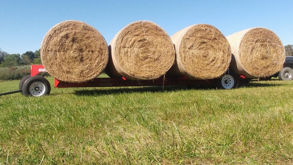 5x5 Net Wrapped Round Bales From Lucas Organic Farms - Highland County, Ohio